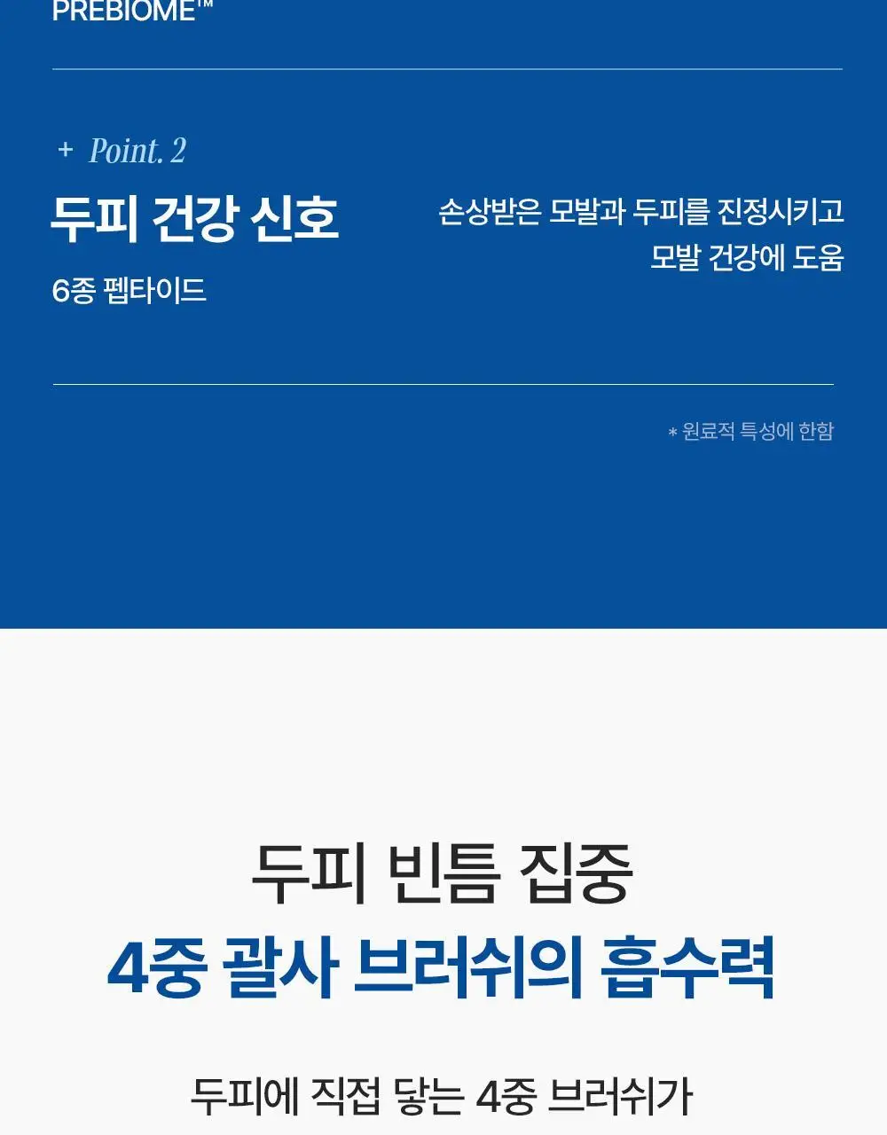 [M자복구앰플/두피괄사] 다슈 데일리 밀크씨슬 스피큘샷 스칼프 앰플 70ml 상세페이지 23
